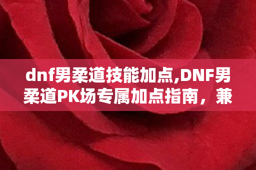 dnf男柔道技能加点,DNF男柔道PK场专属加点指南,兼顾起手与斩杀的实用思路 dnf男柔道技能加点,DNF男柔道PK场专属加点指南,兼顾起手与斩杀的实用思路
