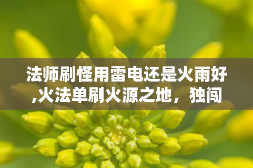 法师刷怪用雷电还是火雨好,火法单刷火源之地,独闯炎魔王座的法师浪漫 法师刷怪用雷电还是火雨好,火法单刷火源之地,独闯炎魔王座的法师浪漫
