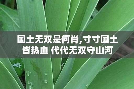 国土无双是何肖,寸寸国土皆热血 代代无双守山河 国土无双是何肖,寸寸国土皆热血 代代无双守山河