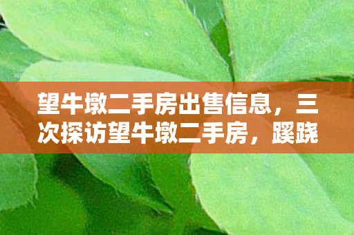 望牛墩二手房出售信息,三次探访望牛墩二手房,蹊跷发现背后,竟让人后背发凉! 望牛墩二手房出售信息,三次探访望牛墩二手房,蹊跷发现背后,竟让人后背发凉!