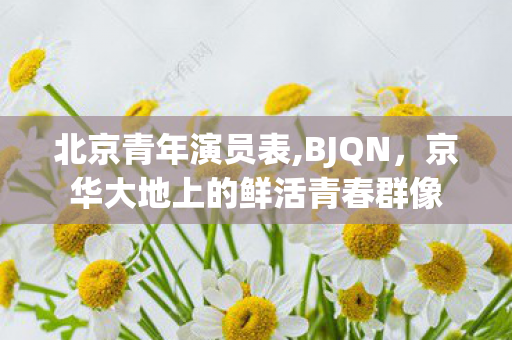 北京青年演员表,BJQN,京华大地上的鲜活青春群像 北京青年演员表,BJQN,京华大地上的鲜活青春群像