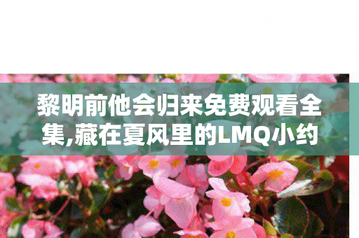 黎明前他会归来免费观看全集,藏在夏风里的LMQ小约定 黎明前他会归来免费观看全集,藏在夏风里的LMQ小约定