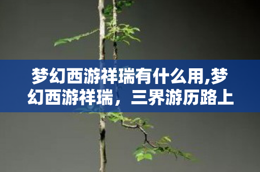 梦幻西游祥瑞有什么用,梦幻西游祥瑞,三界游历路上的专属情怀印记 梦幻西游祥瑞有什么用,梦幻西游祥瑞,三界游历路上的专属情怀印记