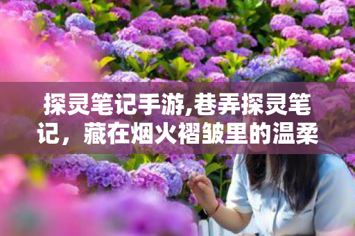 探灵笔记手游,巷弄探灵笔记,藏在烟火褶皱里的温柔旧迹 探灵笔记手游,巷弄探灵笔记,藏在烟火褶皱里的温柔旧迹