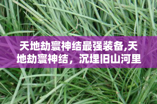 天地劫寰神结最强装备,天地劫寰神结,沉埋旧山河里的古意侠光 天地劫寰神结最强装备,天地劫寰神结,沉埋旧山河里的古意侠光