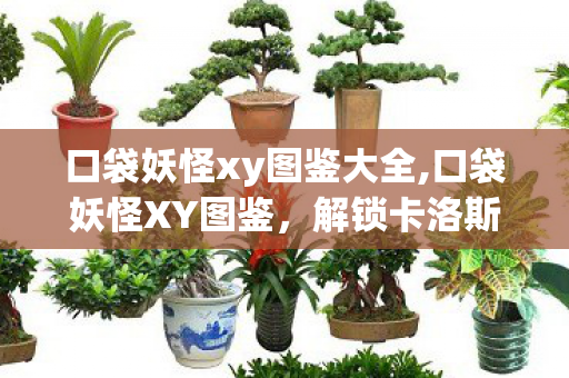 口袋妖怪xy图鉴大全,口袋妖怪XY图鉴,解锁卡洛斯大陆的全部冒险记忆 口袋妖怪xy图鉴大全,口袋妖怪XY图鉴,解锁卡洛斯大陆的全部冒险记忆