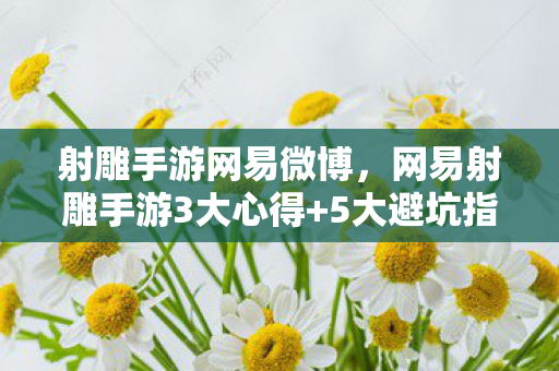 射雕手游网易微博,网易射雕手游3大心得+5大避坑指南,助你少走90%弯路! 射雕手游网易微博,网易射雕手游3大心得+5大避坑指南,助你少走90%弯路!