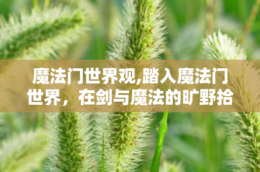 魔法门世界观,踏入魔法门世界,在剑与魔法的旷野拾回旧日冒险余温 魔法门世界观,踏入魔法门世界,在剑与魔法的旷野拾回旧日冒险余温
