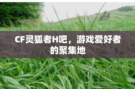 游戏爱好者的聚集地图片