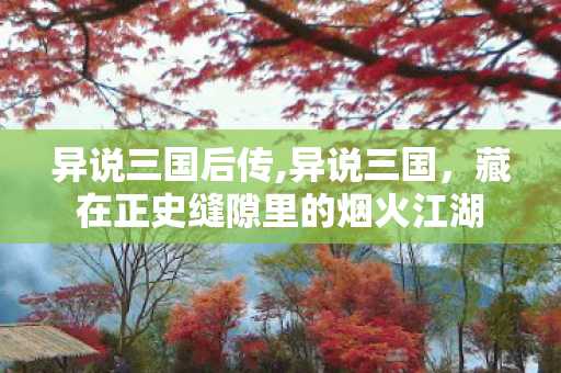 异说三国后传,异说三国,藏在正史缝隙里的烟火江湖 异说三国后传,异说三国,藏在正史缝隙里的烟火江湖