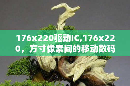 176x220驱动IC,176x220,方寸像素间的移动数码怀旧印记 176x220驱动IC,176x220,方寸像素间的移动数码怀旧印记
