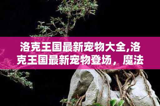 洛克王国最新宠物大全,洛克王国最新宠物登场,魔法大陆上新的萌趣战力双高新伙伴 洛克王国最新宠物大全,洛克王国最新宠物登场,魔法大陆上新的萌趣战力双高新伙伴