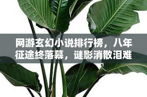 网游玄幻小说排行榜,八年征途终落幕,谜影消散泪难流,网游梦碎谁人懂 网游玄幻小说排行榜,八年征途终落幕,谜影消散泪难流,网游梦碎谁人懂