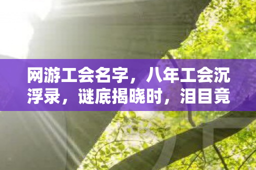 网游工会名字,八年工会沉浮录,谜底揭晓时,泪目竟是空荡的登录界面 网游工会名字,八年工会沉浮录,谜底揭晓时,泪目竟是空荡的登录界面