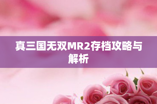 真三国无双MR2存档攻略与解析图片