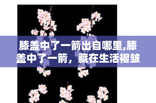 膝盖中了一箭出自哪里,膝盖中了一箭，藏在生活褶皱里的趣味注脚