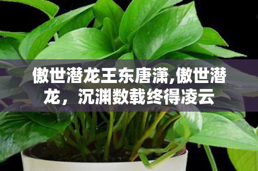 傲世潜龙王东唐潇,傲世潜龙,沉渊数载终得凌云 傲世潜龙王东唐潇,傲世潜龙,沉渊数载终得凌云