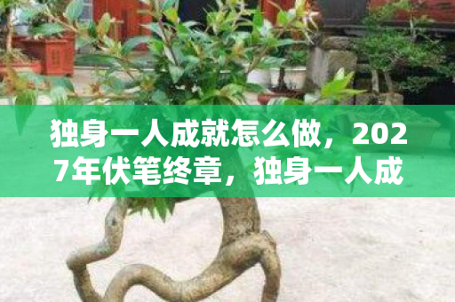 独身一人成就怎么做,2027年伏笔终章,独身一人成就达成时,鼻子一酸想起你 独身一人成就怎么做,2027年伏笔终章,独身一人成就达成时,鼻子一酸想起你
