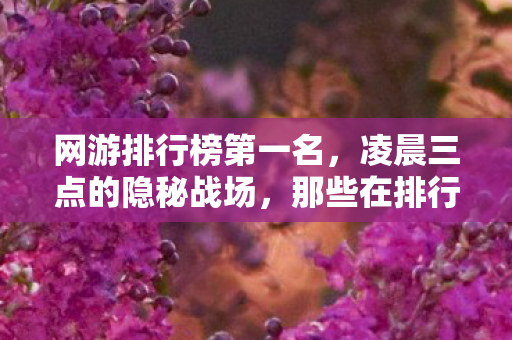 网游排行榜第一名,凌晨三点的隐秘战场,那些在排行榜上哽咽过的3650个夜晚 网游排行榜第一名,凌晨三点的隐秘战场,那些在排行榜上哽咽过的3650个夜晚