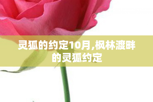 灵狐的约定10月,枫林渡畔的灵狐约定 灵狐的约定10月,枫林渡畔的灵狐约定