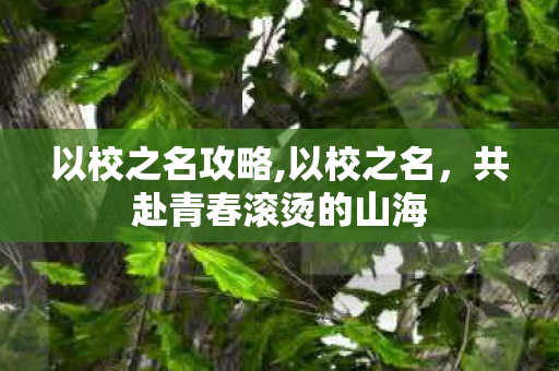 以校之名攻略,以校之名,共赴青春滚烫的山海 以校之名攻略,以校之名,共赴青春滚烫的山海