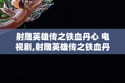 射雕英雄传之铁血丹心 电视剧,射雕英雄传之铁血丹心，少年侠路的第一缕光