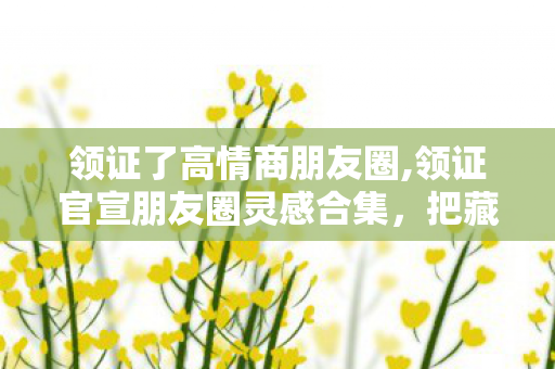 领证了高情商朋友圈,领证官宣朋友圈灵感合集，把藏在红本本里的甜说给全世界听