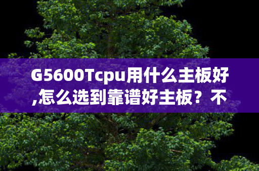 G5600Tcpu用什么主板好,怎么选到靠谱好主板?不同使用场景选购思路全解析 G5600Tcpu用什么主板好,怎么选到靠谱好主板?不同使用场景选购思路全解析