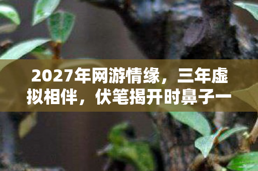 2027年网游情缘,三年虚拟相伴,伏笔揭开时鼻子一酸 2027年网游情缘,三年虚拟相伴,伏笔揭开时鼻子一酸