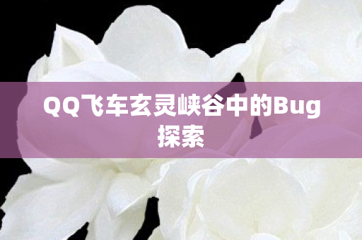 QQ飞车玄灵峡谷中的Bug探索图片