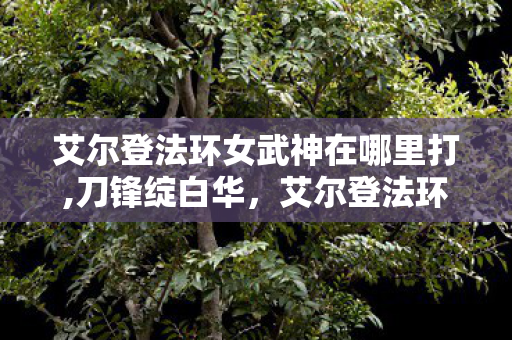 艾尔登法环女武神在哪里打,刀锋绽白华，艾尔登法环女武神玛莲妮亚的意志诗篇