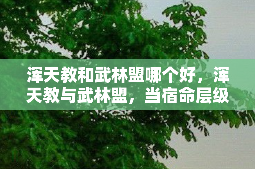 浑天教和武林盟哪个好，浑天教与武林盟，当宿命层级崩塌时，自由是深渊还是救赎？