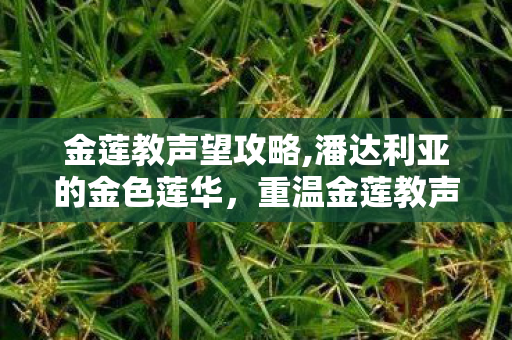 金莲教声望攻略,潘达利亚的金色莲华,重温金莲教声望的旧日冒险时光 金莲教声望攻略,潘达利亚的金色莲华,重温金莲教声望的旧日冒险时光