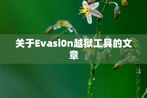 关于Evasi0n越狱工具的文章图片