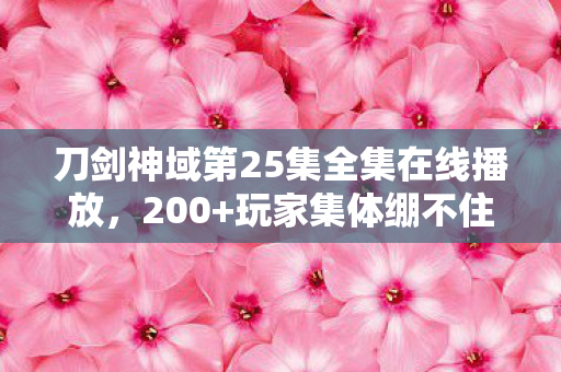 刀剑神域第25集全集在线播放，200+玩家集体绷不住！SAO第25集惊现复活币疑云，这操作谁顶得住？