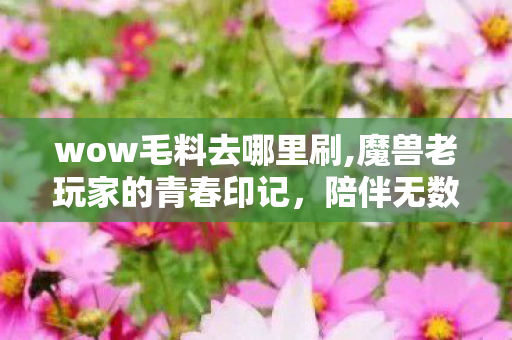 wow毛料去哪里刷,魔兽老玩家的青春印记，陪伴无数新人成长的wow毛料