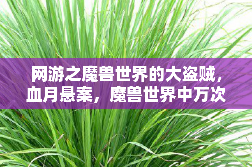 网游之魔兽世界的大盗贼,血月悬案,魔兽世界中万次杀戮背后的毛骨悚然真相 网游之魔兽世界的大盗贼,血月悬案,魔兽世界中万次杀戮背后的毛骨悚然真相