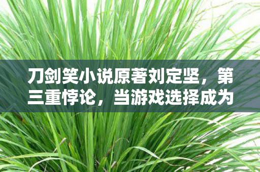 刀剑笑小说原著刘定坚，第三重悖论，当游戏选择成为灵魂的审判天平