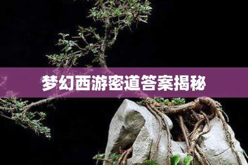 梦幻西游密道答案揭秘图片