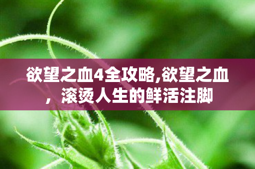 欲望之血4全攻略,欲望之血，滚烫人生的鲜活注脚