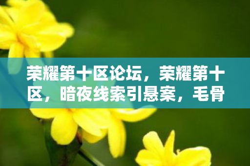 荣耀第十区论坛，荣耀第十区，暗夜线索引悬案，毛骨悚然十年困局