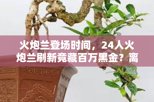 火炮兰登场时间，24人火炮兰刷新竟藏百万黑金？离职老兵拍桌揭秘，老子当年差点被这方案枪毙！