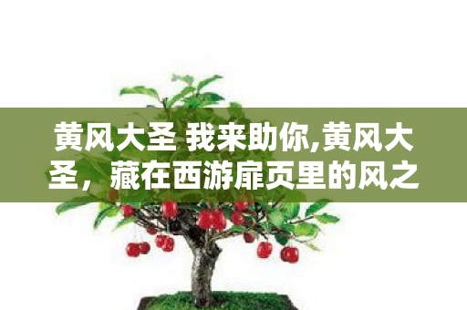 黄风大圣 我来助你,黄风大圣，藏在西游扉页里的风之行者