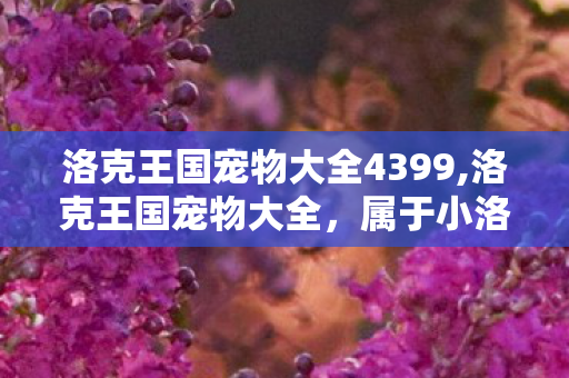 洛克王国宠物大全4399,洛克王国宠物大全,属于小洛克们的魔法青春图鉴 洛克王国宠物大全4399,洛克王国宠物大全,属于小洛克们的魔法青春图鉴