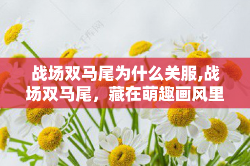 战场双马尾为什么关服,战场双马尾，藏在萌趣画风里的热血少女物语