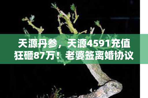 天源丹参，天源4591充值狂砸87万！老婆签离婚协议，背后隐情吓你一跳！