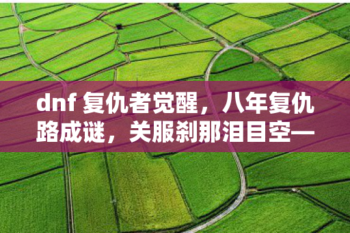 dnf 复仇者觉醒，八年复仇路成谜，关服刹那泪目空——DNF复仇者的无声告别