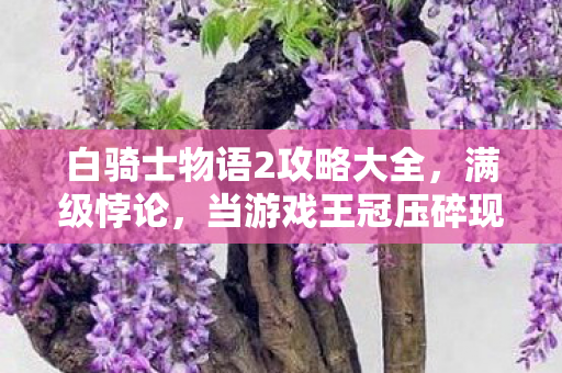 白骑士物语2攻略大全，满级悖论，当游戏王冠压碎现实脊梁，2027年我仍在深渊仰望星空