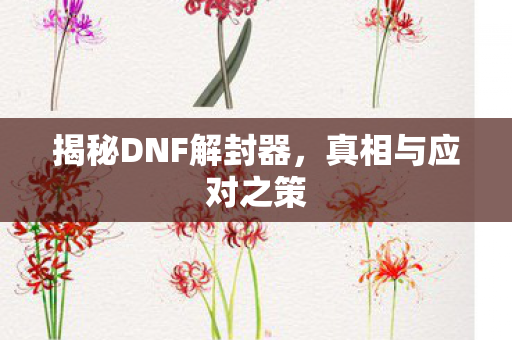 揭秘DNF解封器图片