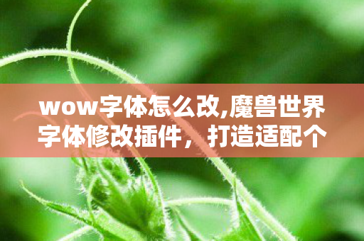 wow字体怎么改,魔兽世界字体修改插件，打造适配个人习惯的沉浸式游戏视觉体验